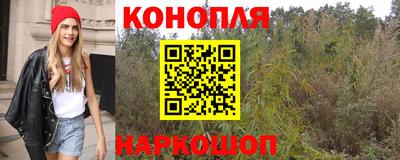 прущие крисы Краснознаменск
