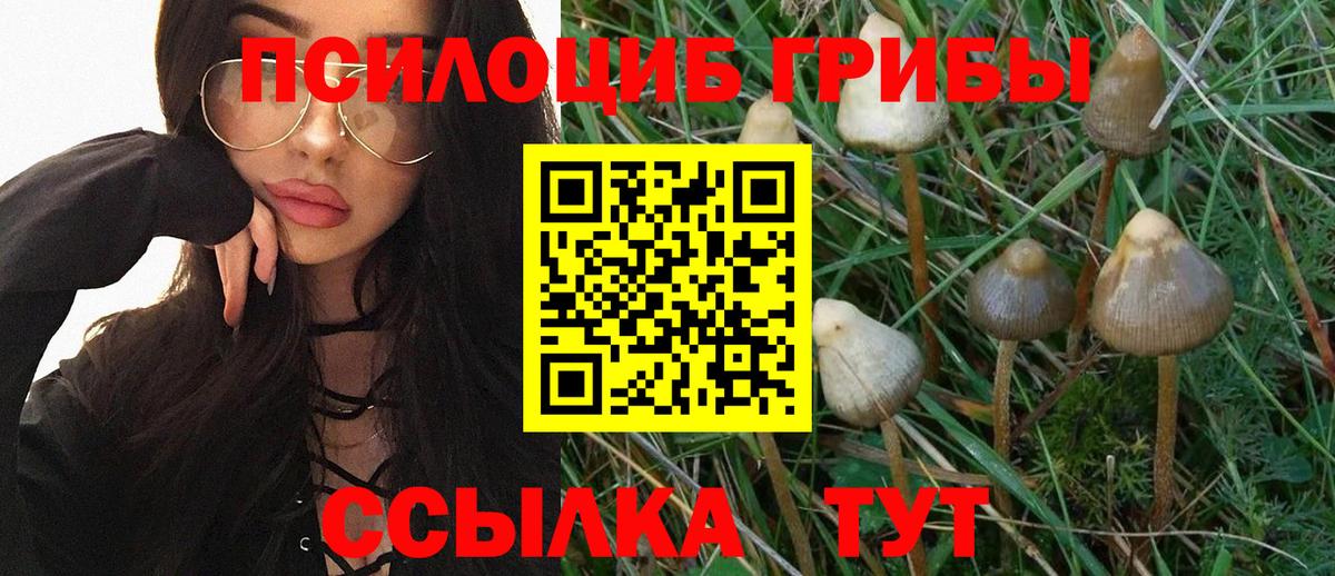 Галлюциногенные грибы ЛСД Иваново